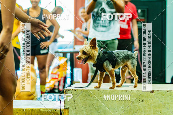 Buy your photos of the eventDog Wod - Crossfit Saurus on Fotop