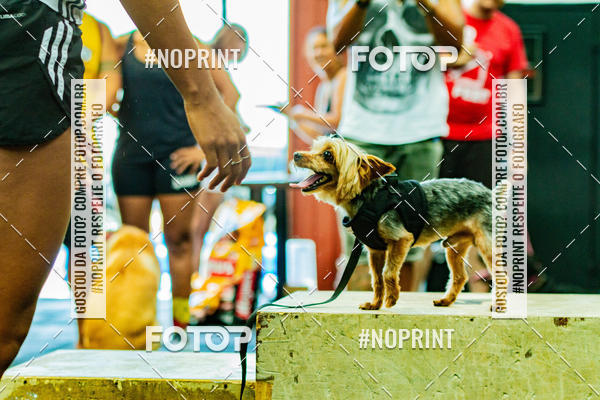 Buy your photos of the eventDog Wod - Crossfit Saurus on Fotop