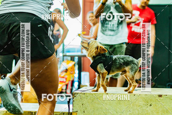 Buy your photos of the eventDog Wod - Crossfit Saurus on Fotop