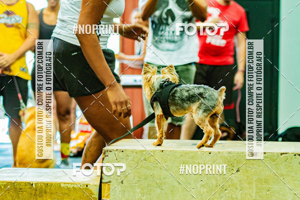 Buy your photos of the eventDog Wod - Crossfit Saurus on Fotop