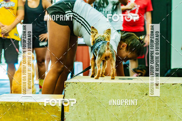 Buy your photos of the eventDog Wod - Crossfit Saurus on Fotop