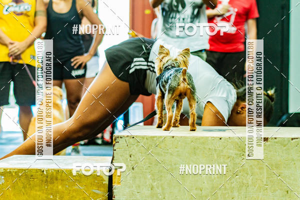 Buy your photos of the eventDog Wod - Crossfit Saurus on Fotop