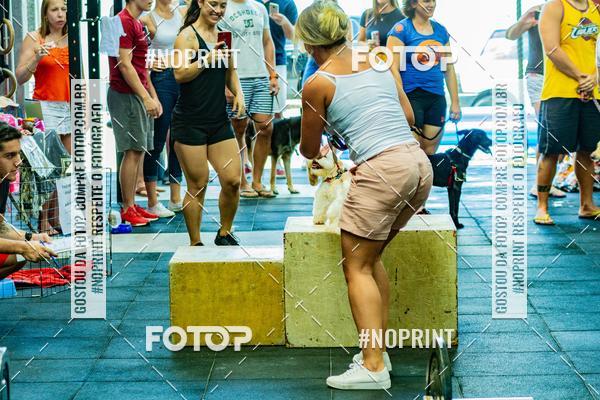 Buy your photos of the eventDog Wod - Crossfit Saurus on Fotop