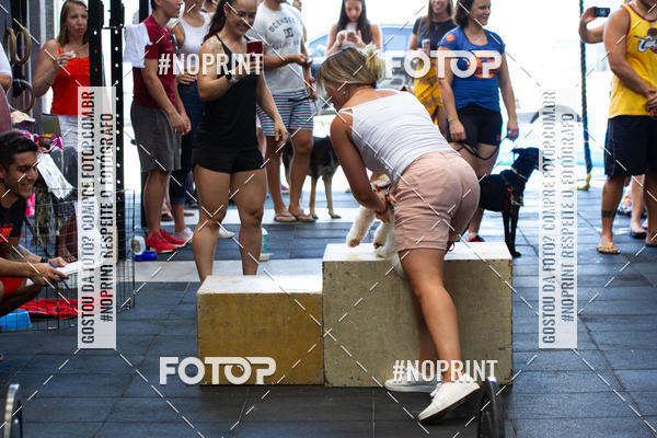 Buy your photos of the eventDog Wod - Crossfit Saurus on Fotop