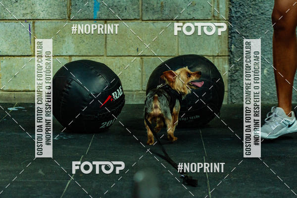 Buy your photos of the eventDog Wod - Crossfit Saurus on Fotop