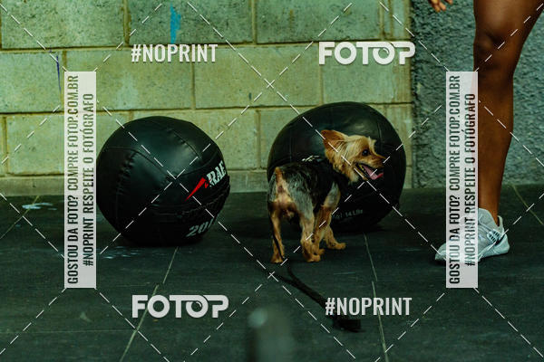 Buy your photos of the eventDog Wod - Crossfit Saurus on Fotop