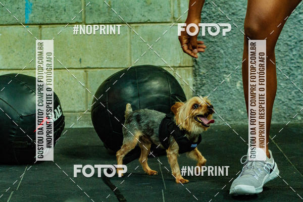Buy your photos of the eventDog Wod - Crossfit Saurus on Fotop