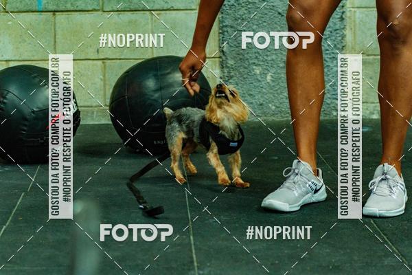 Buy your photos of the eventDog Wod - Crossfit Saurus on Fotop