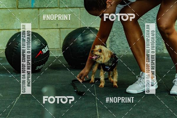 Buy your photos of the eventDog Wod - Crossfit Saurus on Fotop
