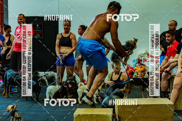 Buy your photos of the eventDog Wod - Crossfit Saurus on Fotop
