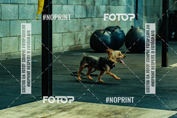 Buy your photos of the eventDog Wod - Crossfit Saurus on Fotop