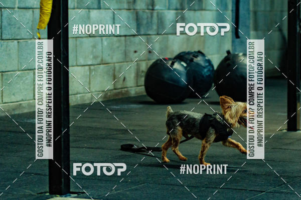 Buy your photos of the eventDog Wod - Crossfit Saurus on Fotop