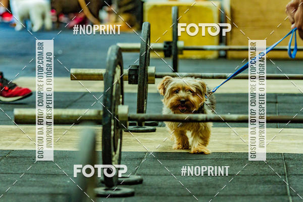 Buy your photos of the eventDog Wod - Crossfit Saurus on Fotop