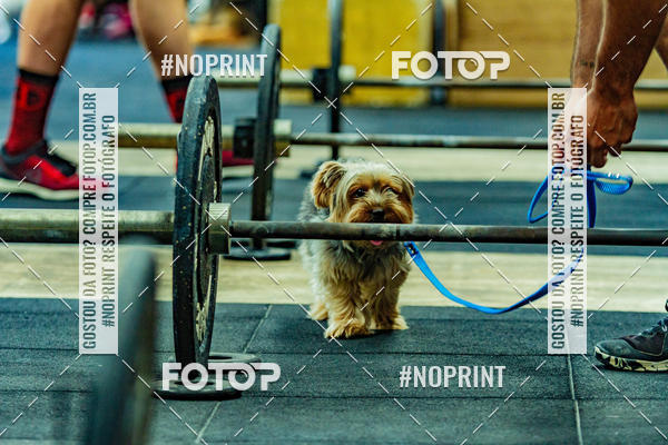 Buy your photos of the eventDog Wod - Crossfit Saurus on Fotop