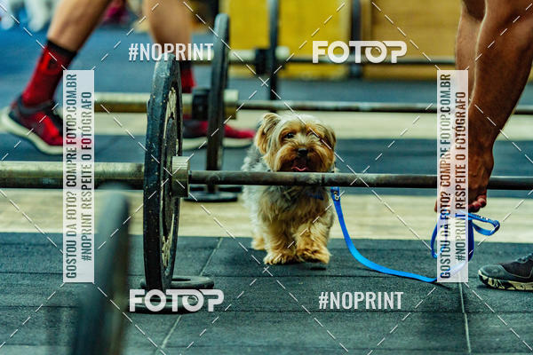 Buy your photos of the eventDog Wod - Crossfit Saurus on Fotop