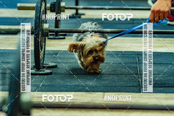Buy your photos of the eventDog Wod - Crossfit Saurus on Fotop