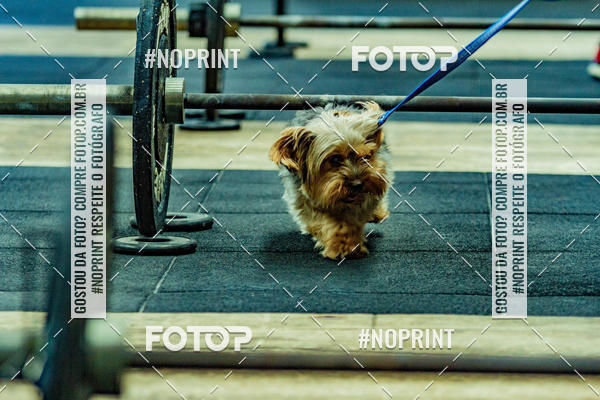 Buy your photos of the eventDog Wod - Crossfit Saurus on Fotop