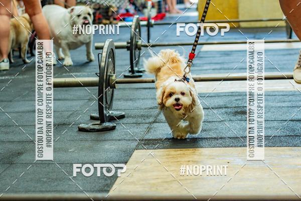 Buy your photos of the eventDog Wod - Crossfit Saurus on Fotop
