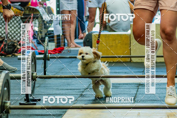 Buy your photos of the eventDog Wod - Crossfit Saurus on Fotop