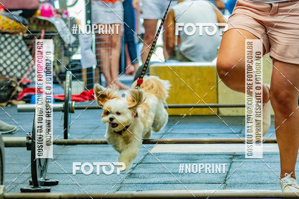 Buy your photos of the eventDog Wod - Crossfit Saurus on Fotop