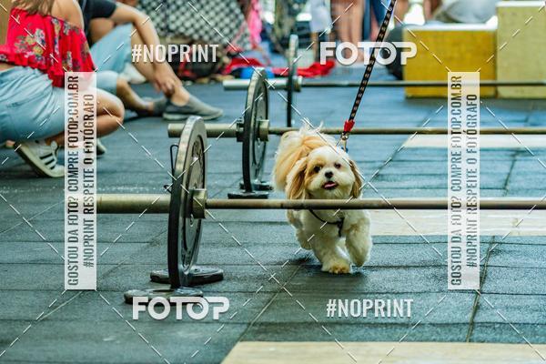 Buy your photos of the eventDog Wod - Crossfit Saurus on Fotop