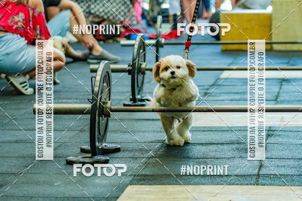Buy your photos of the eventDog Wod - Crossfit Saurus on Fotop