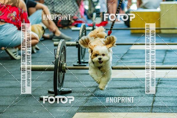 Buy your photos of the eventDog Wod - Crossfit Saurus on Fotop