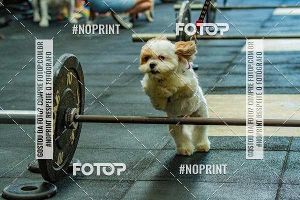 Buy your photos of the eventDog Wod - Crossfit Saurus on Fotop