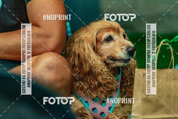 Buy your photos of the eventDog Wod - Crossfit Saurus on Fotop