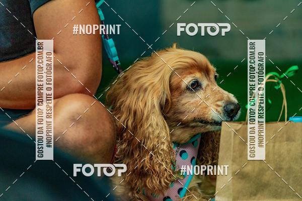 Buy your photos of the eventDog Wod - Crossfit Saurus on Fotop