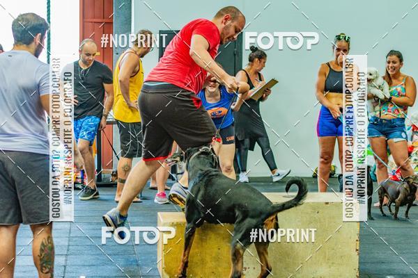 Buy your photos of the eventDog Wod - Crossfit Saurus on Fotop