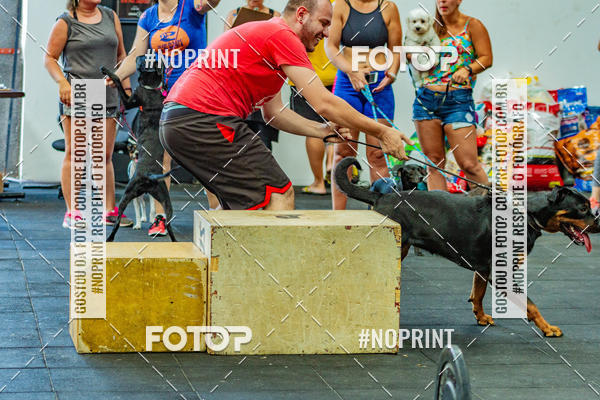 Buy your photos of the eventDog Wod - Crossfit Saurus on Fotop