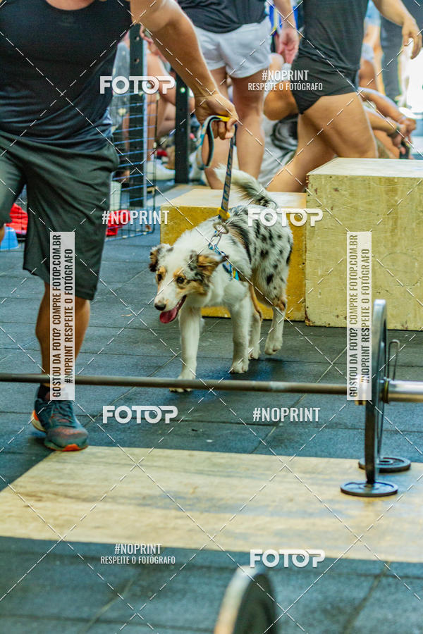 Buy your photos of the eventDog Wod - Crossfit Saurus on Fotop