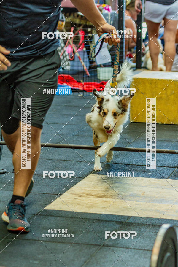 Buy your photos of the eventDog Wod - Crossfit Saurus on Fotop