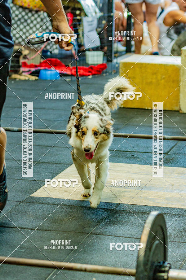 Buy your photos of the eventDog Wod - Crossfit Saurus on Fotop
