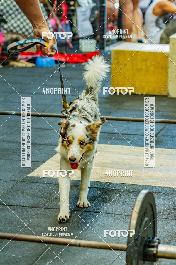Buy your photos of the eventDog Wod - Crossfit Saurus on Fotop