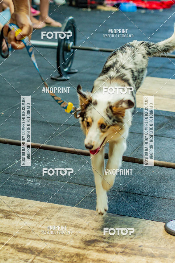 Buy your photos of the eventDog Wod - Crossfit Saurus on Fotop