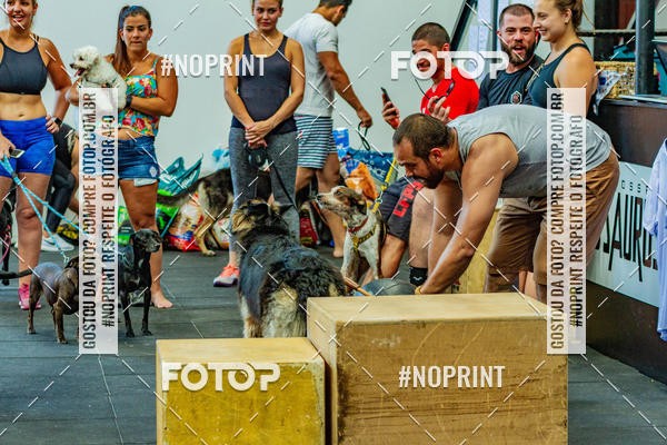Buy your photos of the eventDog Wod - Crossfit Saurus on Fotop