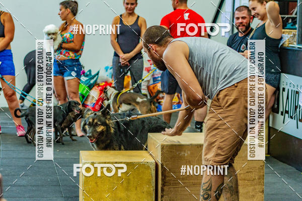 Buy your photos of the eventDog Wod - Crossfit Saurus on Fotop