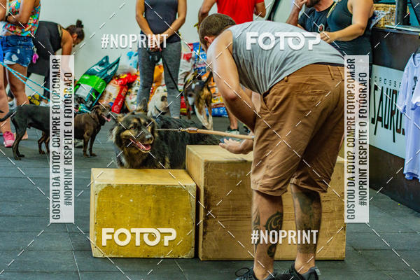 Buy your photos of the eventDog Wod - Crossfit Saurus on Fotop