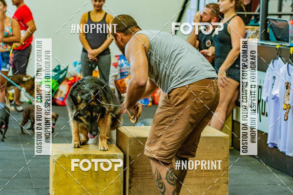 Buy your photos of the eventDog Wod - Crossfit Saurus on Fotop
