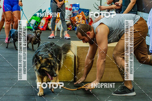 Buy your photos of the eventDog Wod - Crossfit Saurus on Fotop