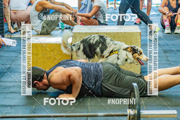 Buy your photos of the eventDog Wod - Crossfit Saurus on Fotop