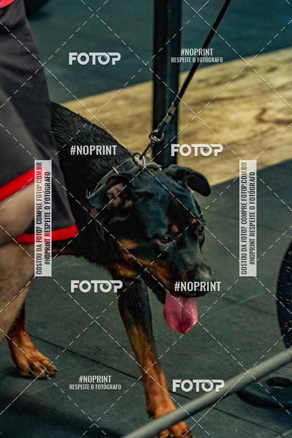 Buy your photos of the eventDog Wod - Crossfit Saurus on Fotop