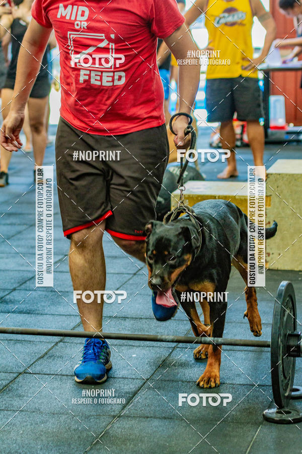 Buy your photos of the eventDog Wod - Crossfit Saurus on Fotop