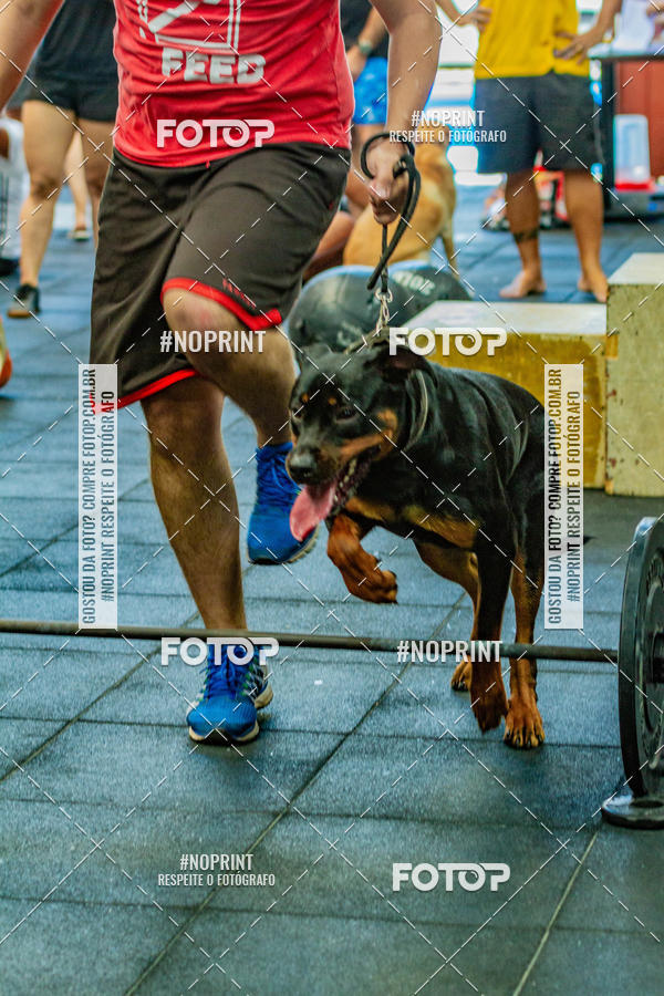 Buy your photos of the eventDog Wod - Crossfit Saurus on Fotop