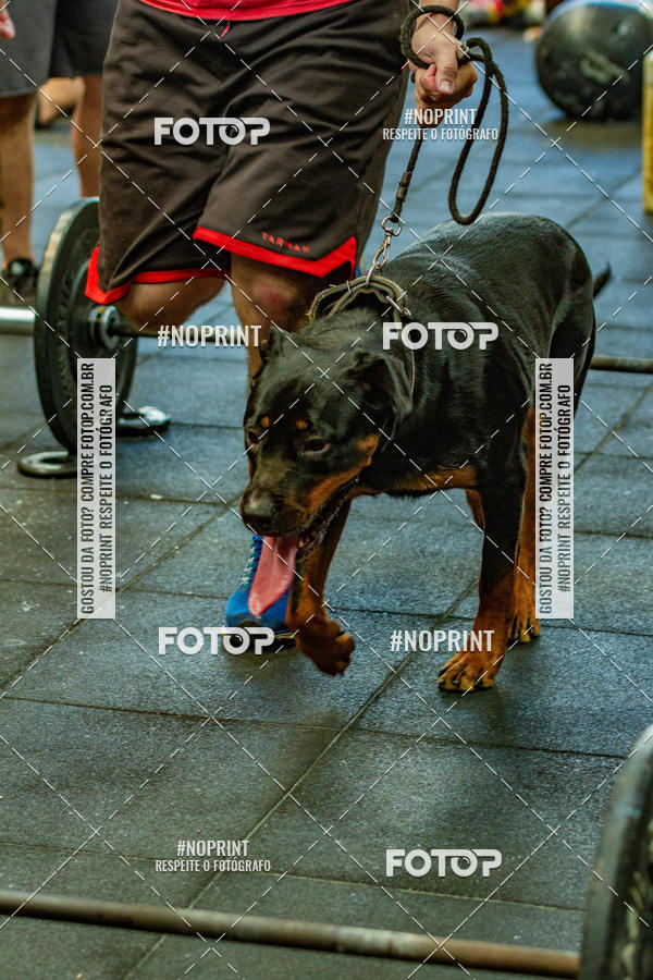 Buy your photos of the eventDog Wod - Crossfit Saurus on Fotop