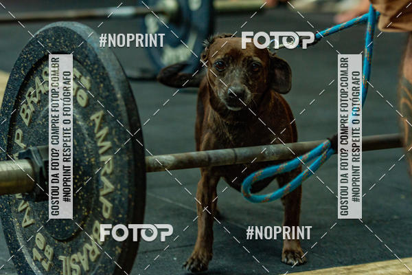 Buy your photos of the eventDog Wod - Crossfit Saurus on Fotop