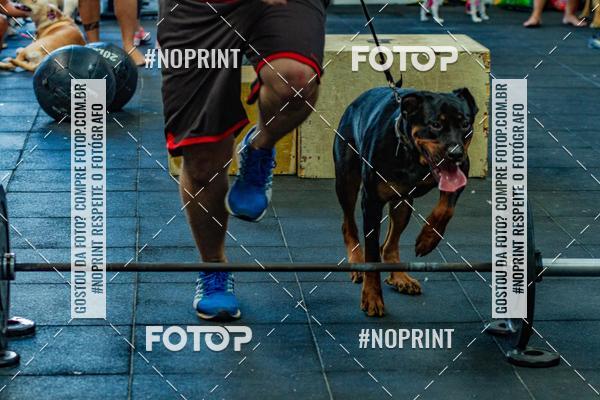 Buy your photos of the eventDog Wod - Crossfit Saurus on Fotop