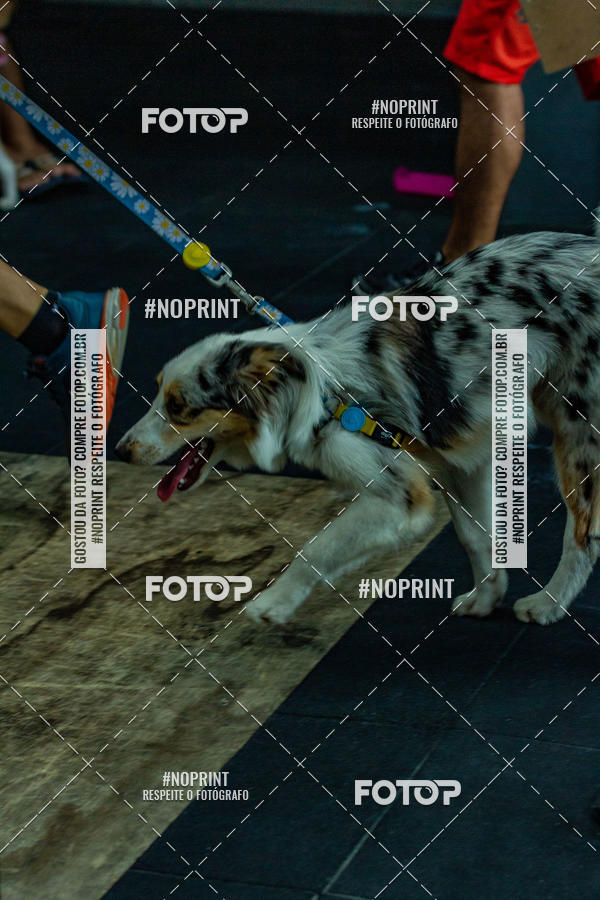 Buy your photos of the eventDog Wod - Crossfit Saurus on Fotop